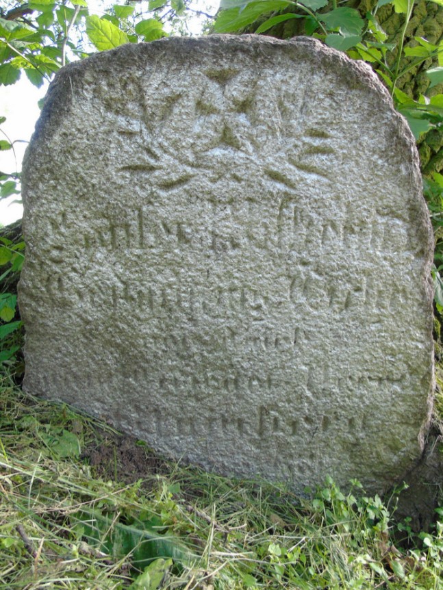 kamien